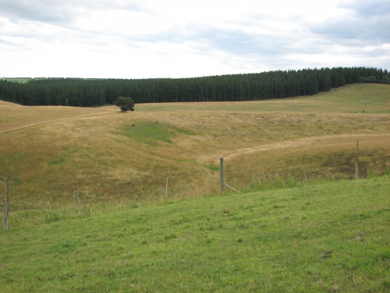 Finlays Road, Five Forks and Surrounds, Waitaki, 0 ਕਮਰੇ, 1 ਬਾਥਰੂਮ