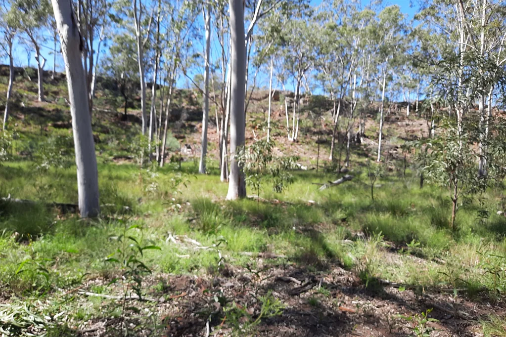 Tara Just under 100 acres up for grabs
