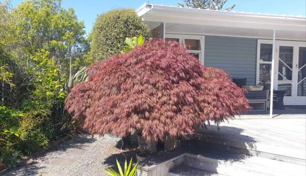 Paraparaumu 4Phòng ngủ Teriffic on Tutanekai