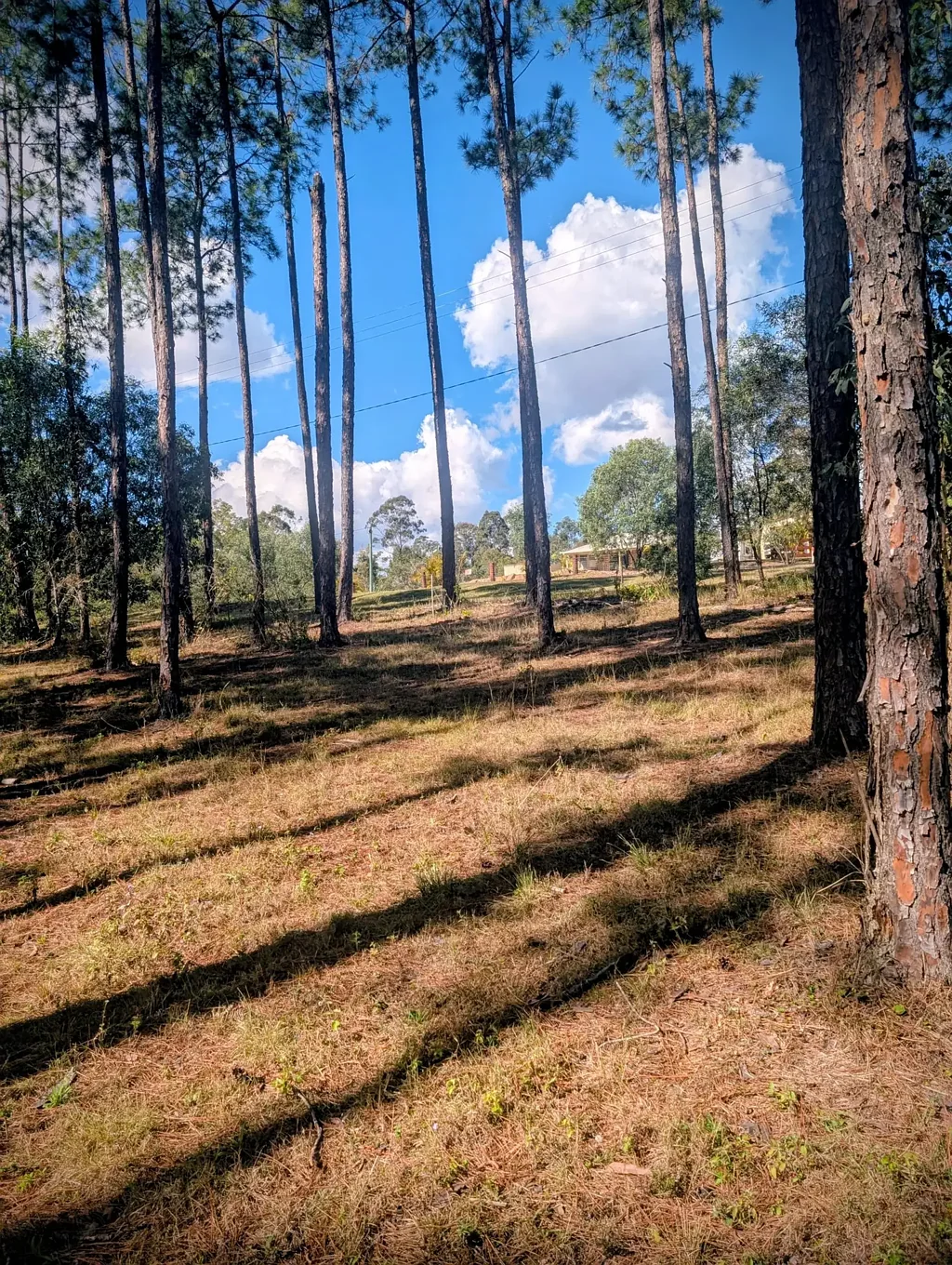 Glenwood Prime 9,998m² Land in Growing Glenwood