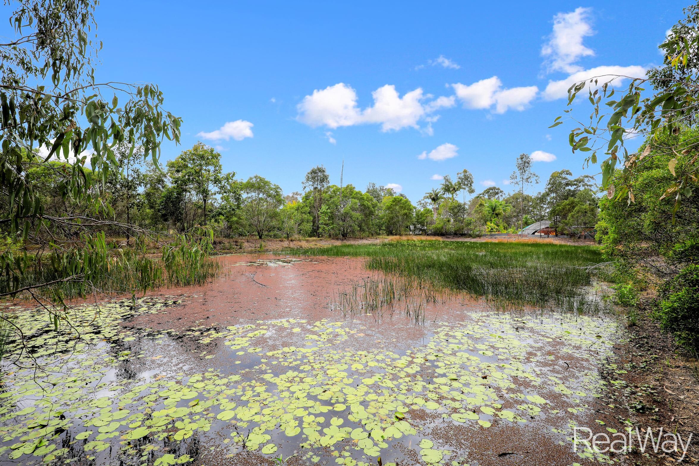 240 MAISEYS RD, YANDARAN QLD 4673, 0 Schlafzimmer, 0 Badezimmer, Lifestyle Section