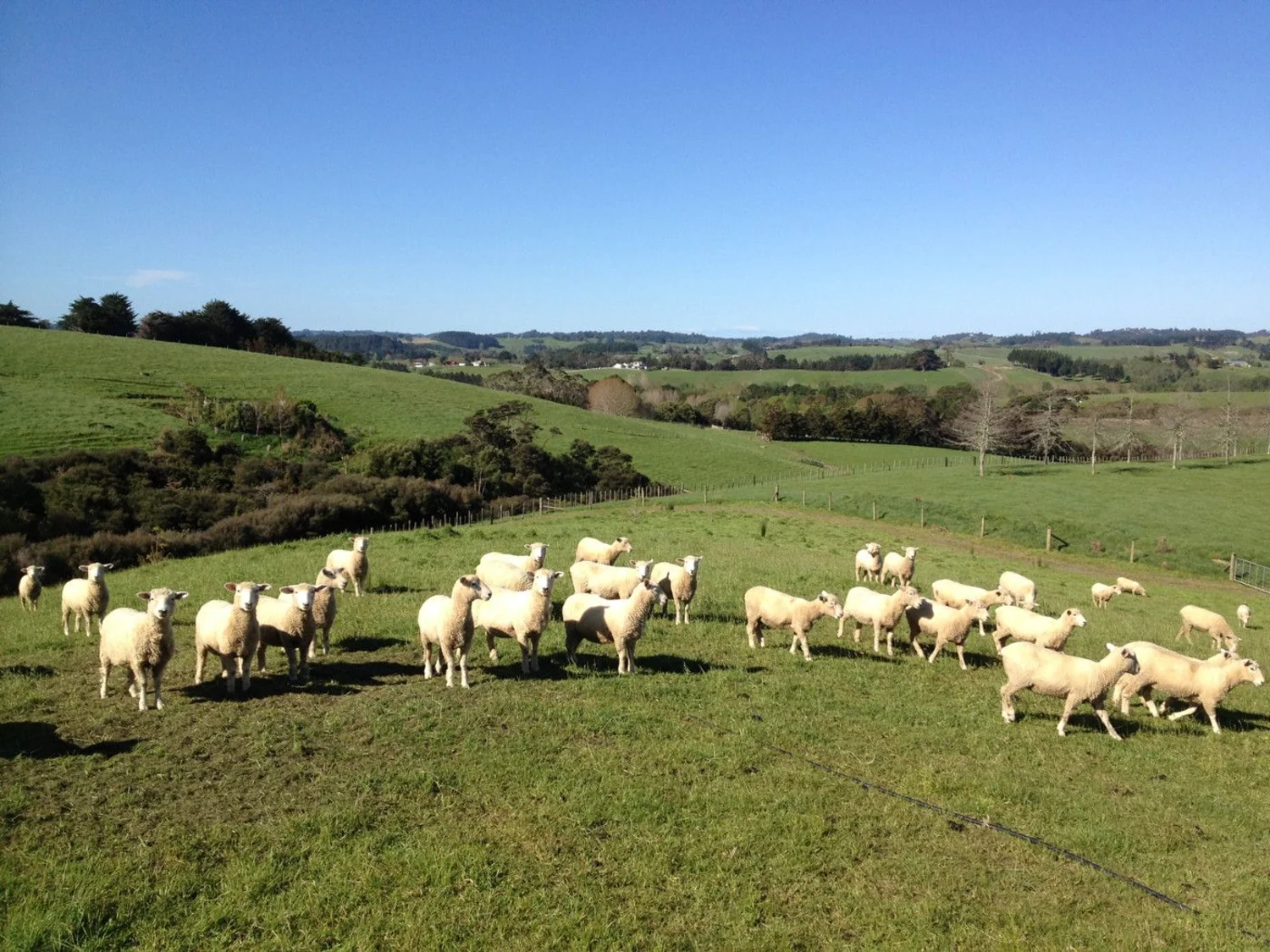 2 Forestry Road, Waitoki, Auckland - Rodney, 0 Bedrooms, 0 Bathrooms