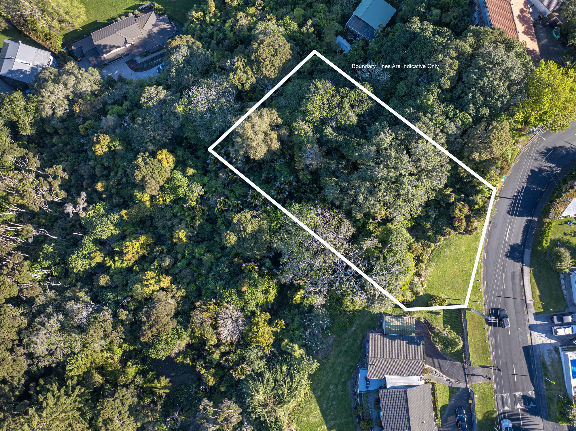 6 Cochrane Avenue, Arkles Bay, photo 3