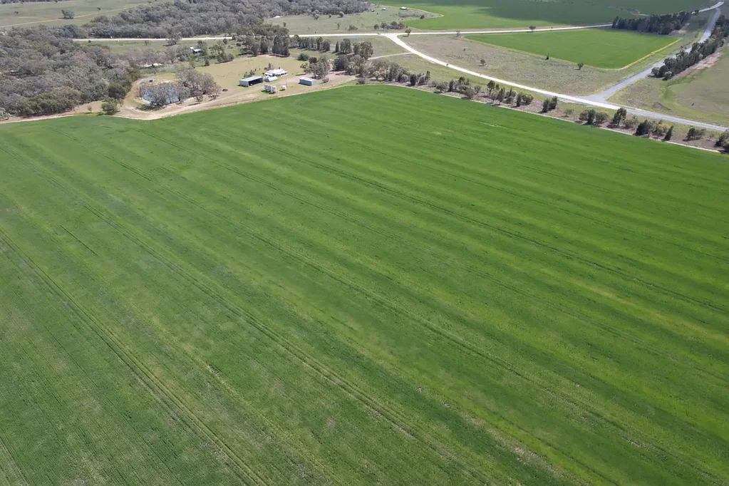 Caragabal "MERUNGLE" 486.5 Ha (1200* ac), centrally located mixed farming