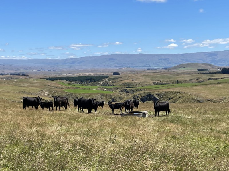 2 Bray Road, Middlemarch, Dunedin, 4 habitaciones, 0 baños, Grazing