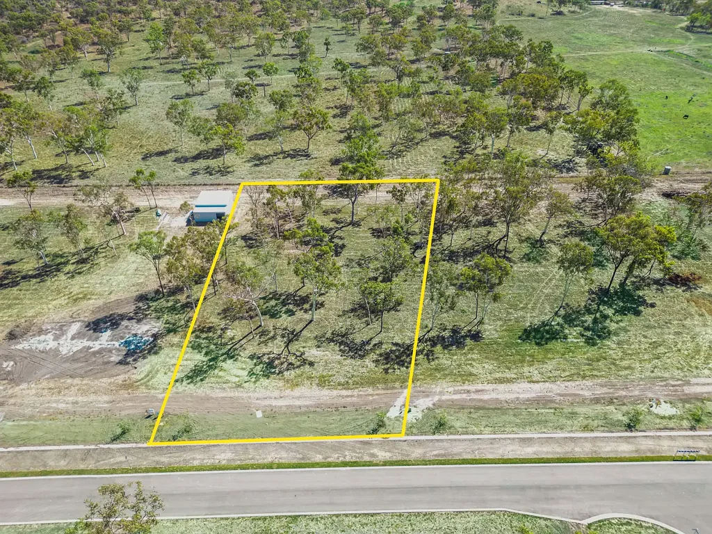 Alligator Creek Big Block, Bigger Possibilities