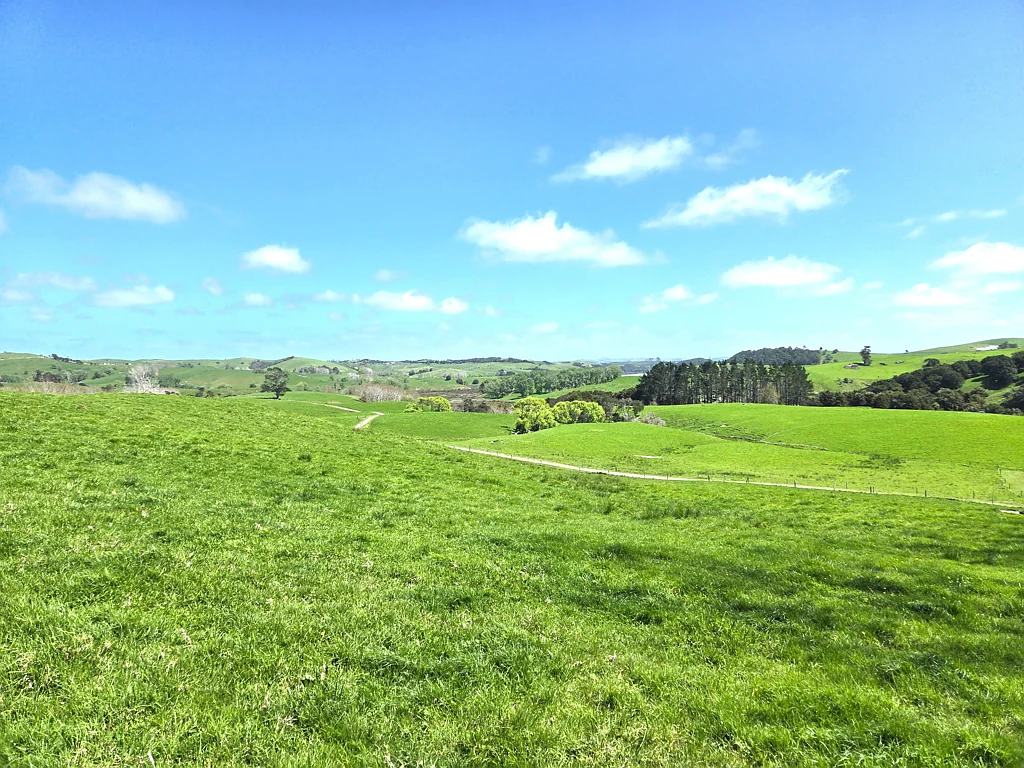 Maungaturoto Opportunity with Options Galore