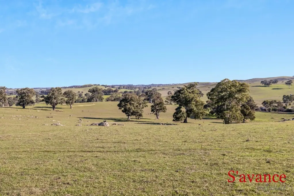 LOT 14 Brinkworth Road, Tungkillo, SA 5236