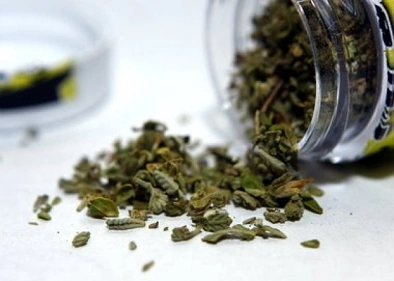 奥克兰8例合成大麻致死案件后 有人提出大麻合法化是解决之道 当真？