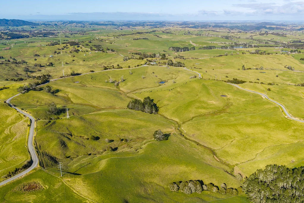 Mangapai and Surrounds  A versatile Northland grazing opportunity