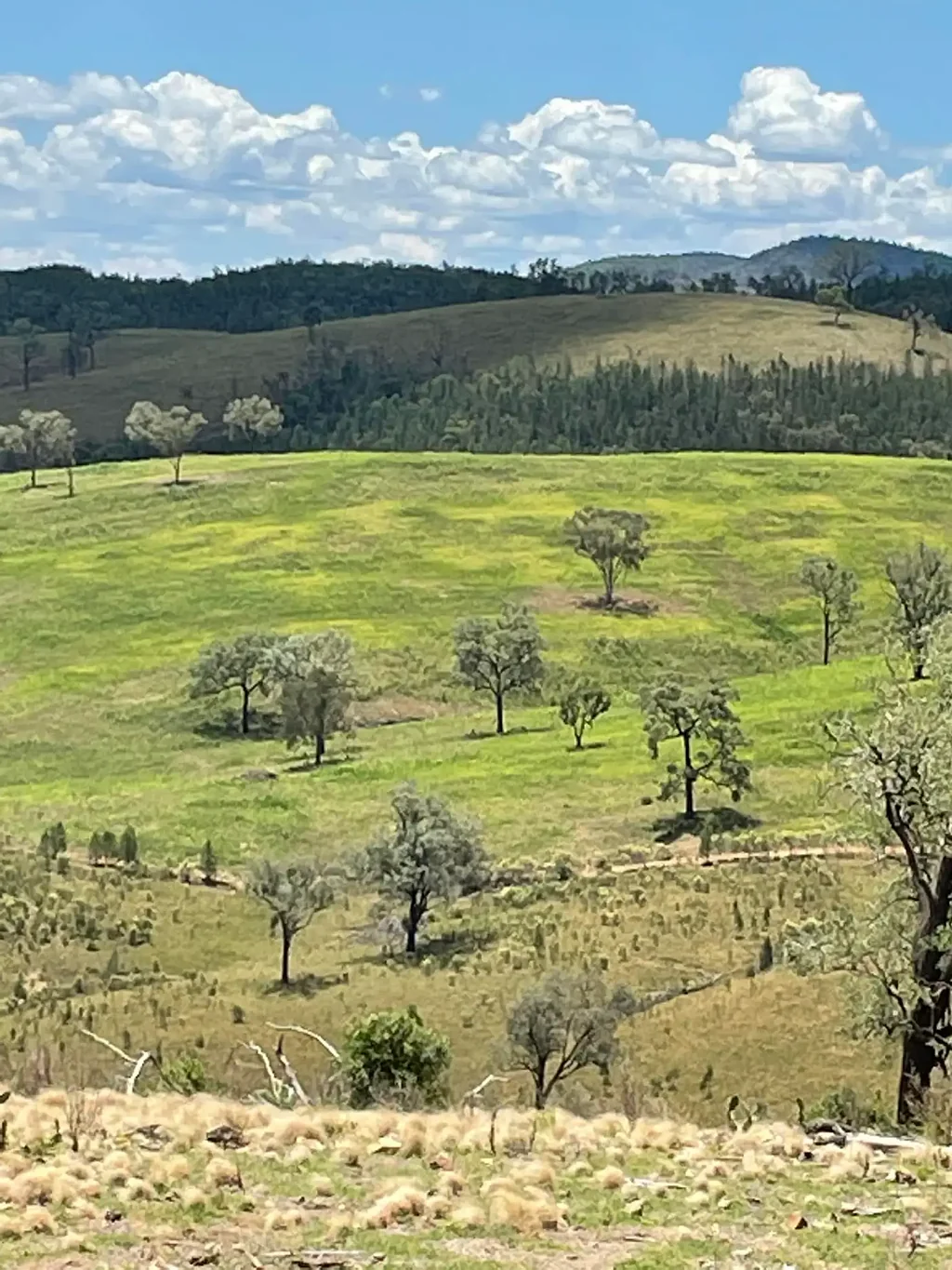 Silver Spur  Renowned Grazing Property Silver Spur