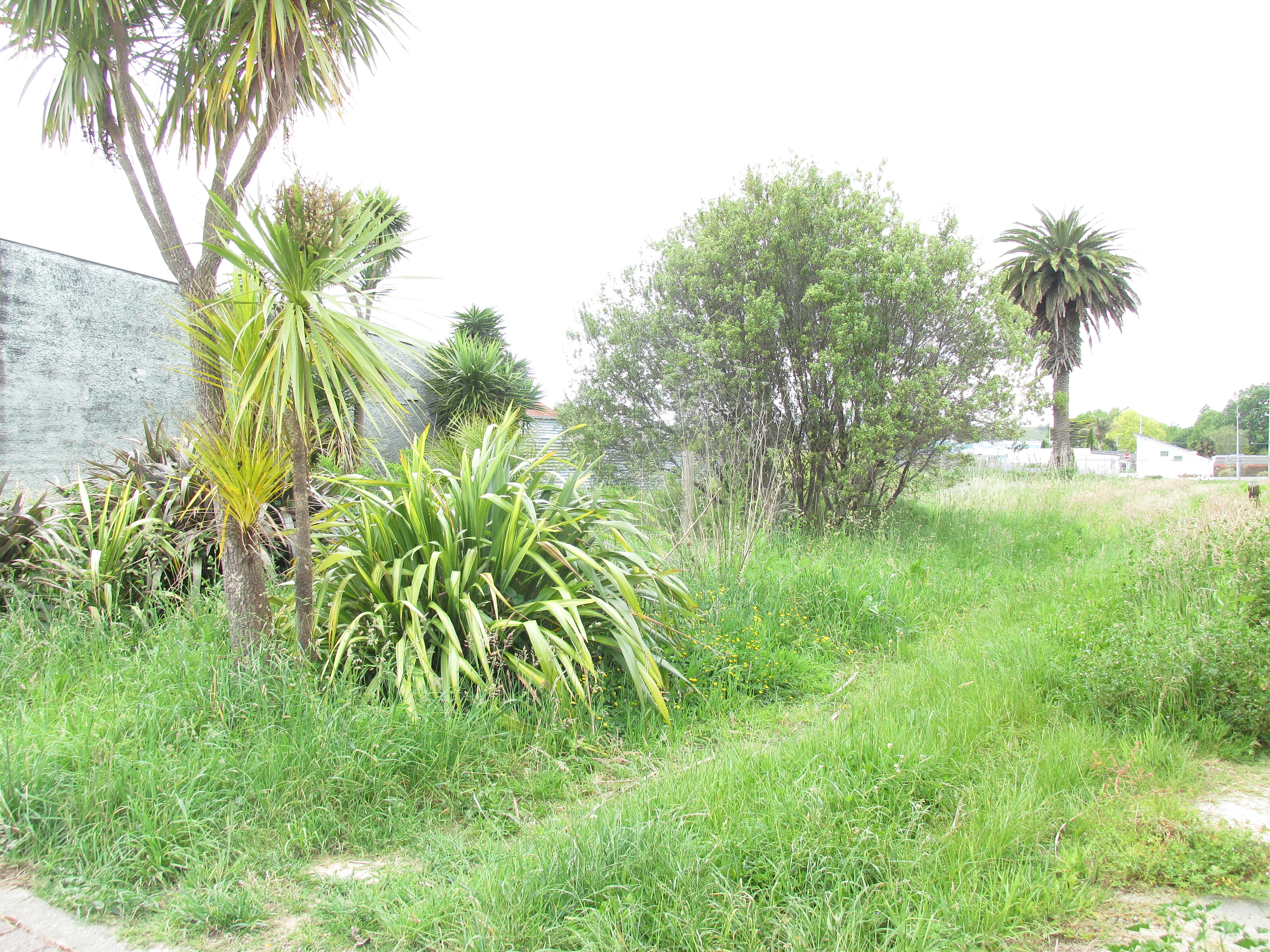 16 Carroll Street, Wairoa, Wairoa, 0 ਕਮਰੇ, 1 ਬਾਥਰੂਮ, Section