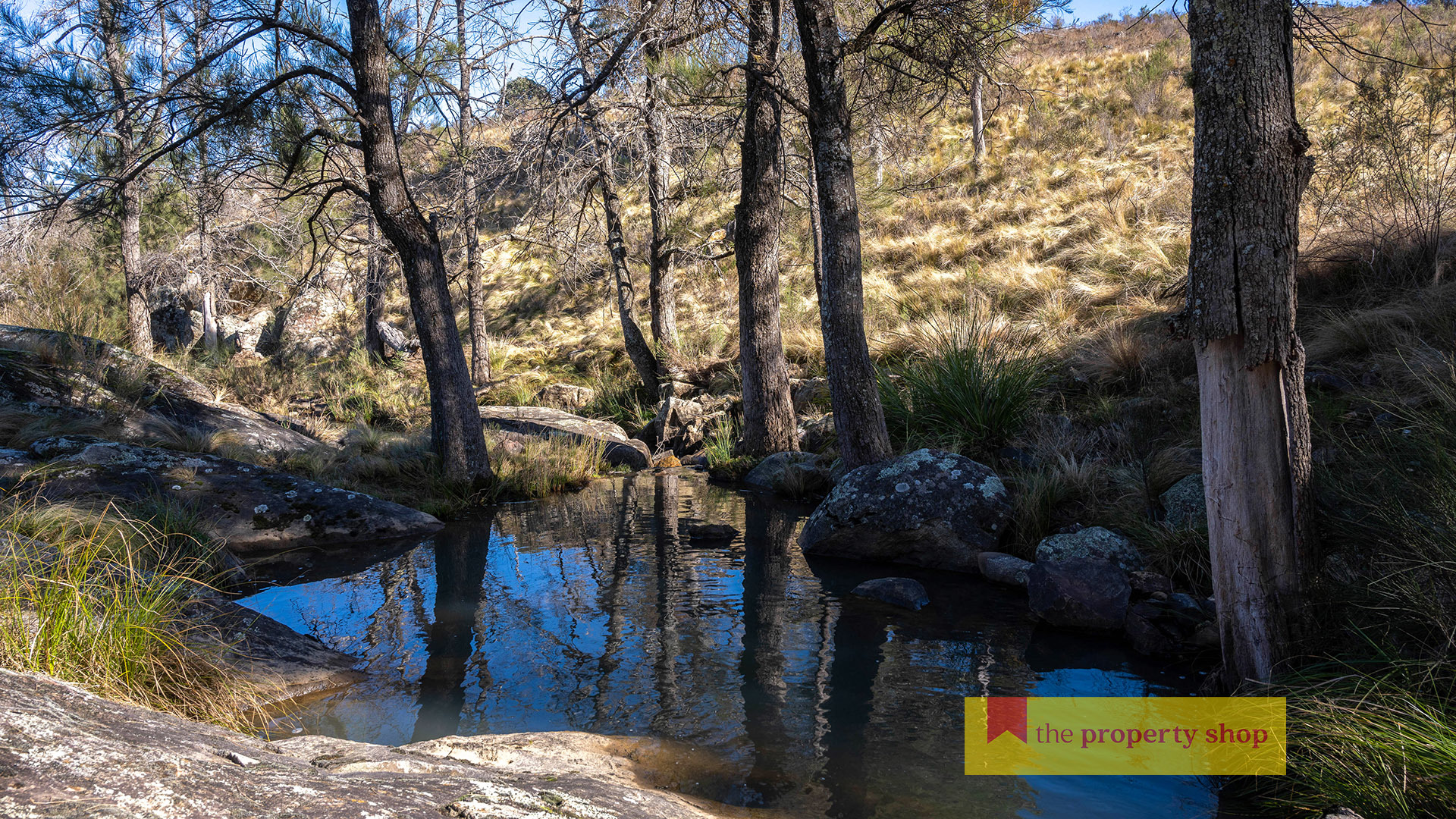 5056 HILL END RD, HARGRAVES NSW 2850, 0 રૂમ, 0 બાથરૂમ, Lifestyle Property