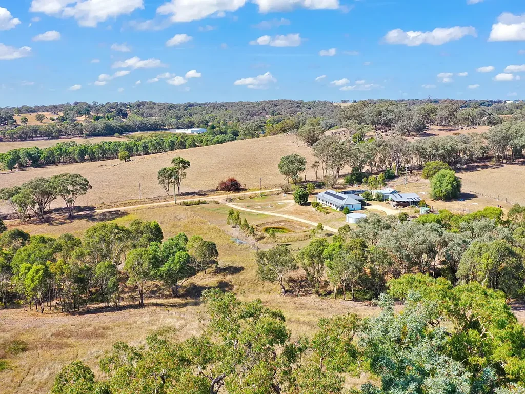 100 Hollands Road, Young, NSW 2594