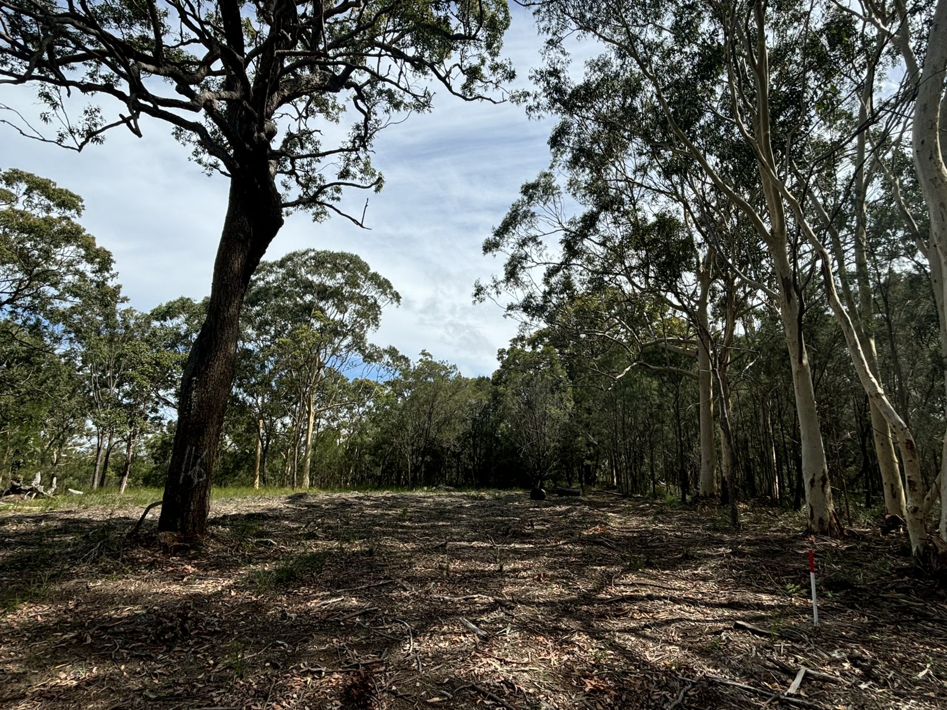 16 WIRRALEE ST, MACLEAY ISLAND QLD 4184, 0 rūma, 0 rūma horoi, Section