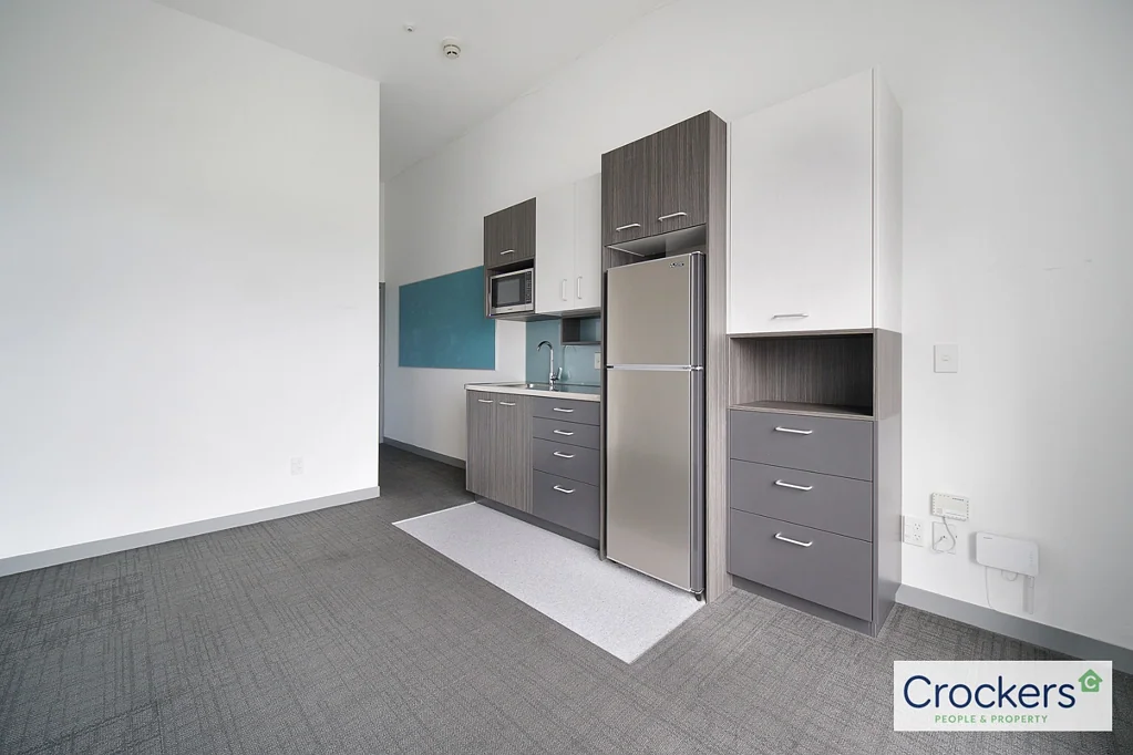 Renovated Modern Studio Eden Terrace