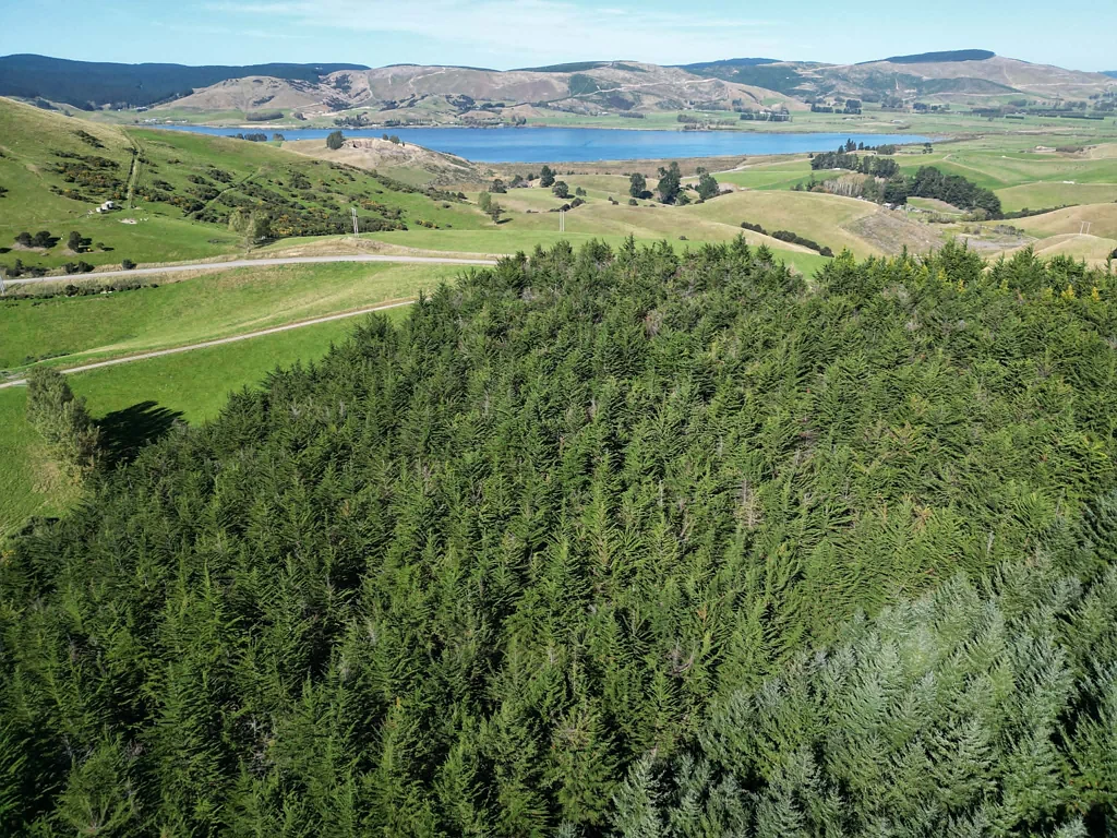 Waihola Bush block lifestyle