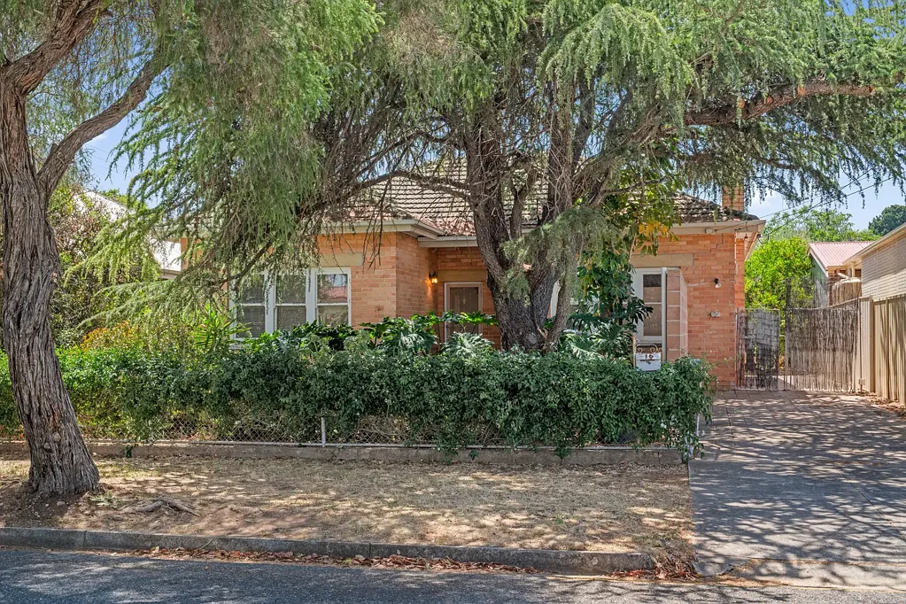 16 Blanche Avenue, Magill, SA 5072