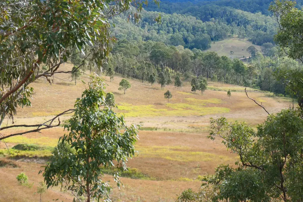 LOT 11 Rocky River Road, Rocky River, NSW 2372