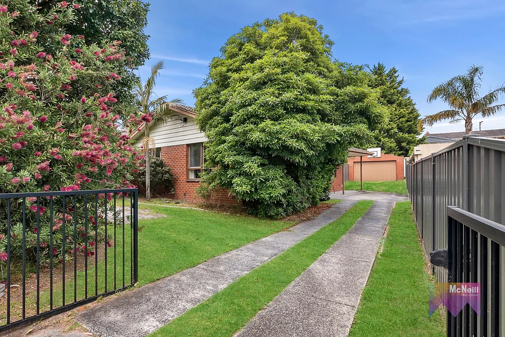 207 Cranbourne Road, Frankston, VIC 3199
