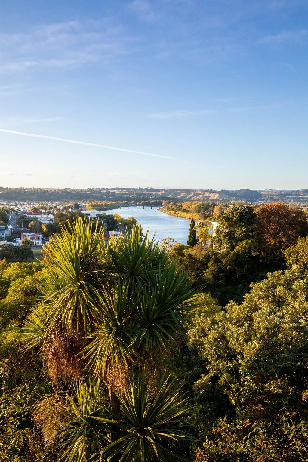 Durie Hill 3 Bedroom Perfect on Hipango Terrace?