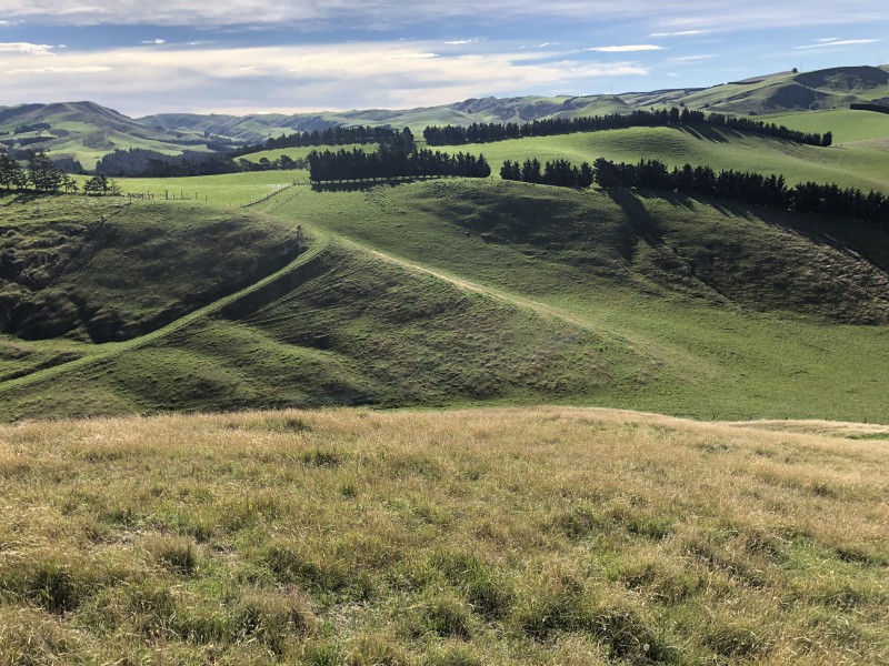 870a Glenmark Drive, Waipara, Hurunui, 0房, 0浴