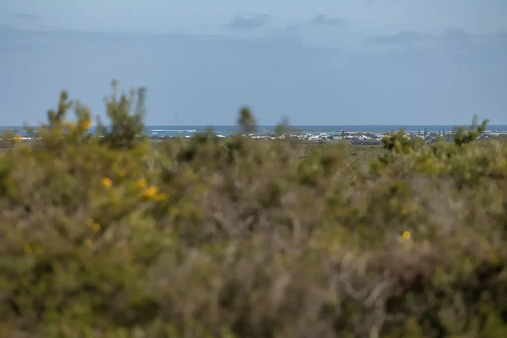 Jurien Bay Wake Up to Ocean Views, End the Day with Sunsets!