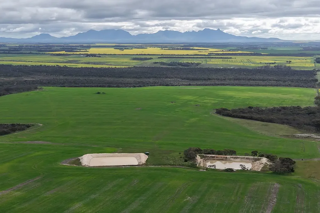 Green Range  'Tagliaferri' - Productive Cropping and Grazing Opportunity