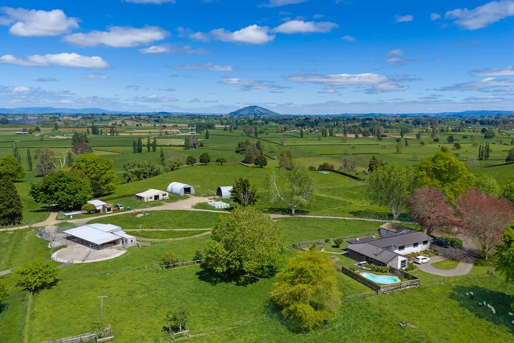 Ohaupo Quality Finishing Property in a Prime Location