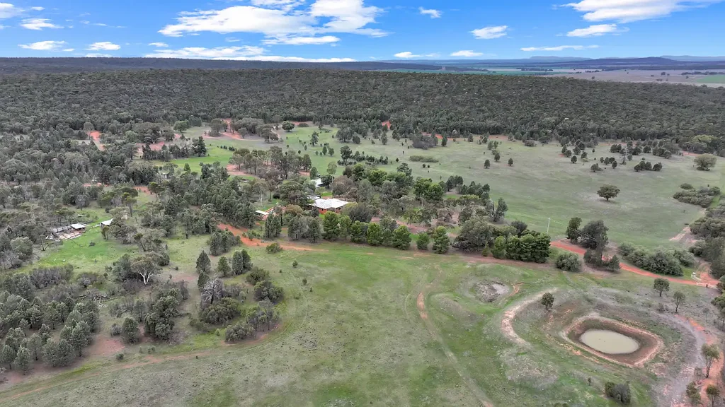 Binya  Idyllic Bush Retreat