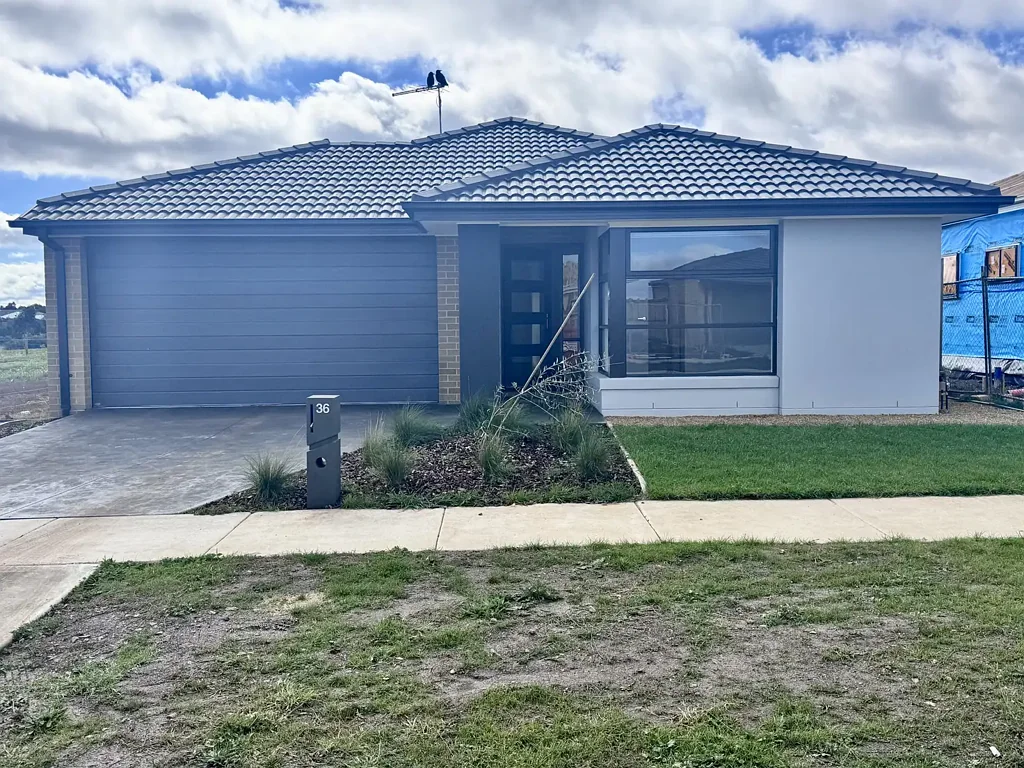 Family Home in Bonshaw – Modern Comfort & Growing Community