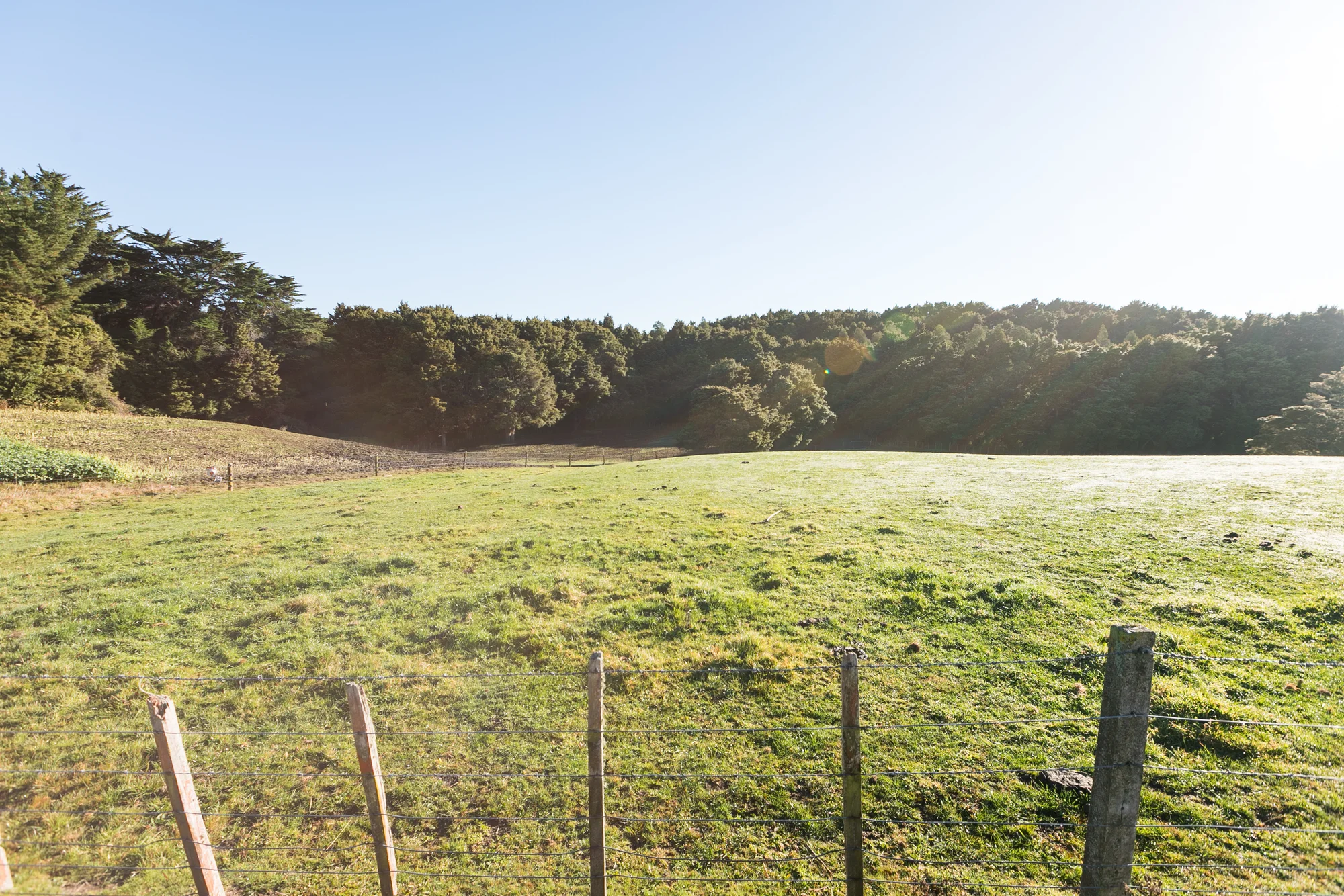 296 Mill Road, Ashley Clinton, Central Hawkes Bay, Hawkes Bay, 0 Bedrooms, 0 Bathrooms, Lifestyle Section