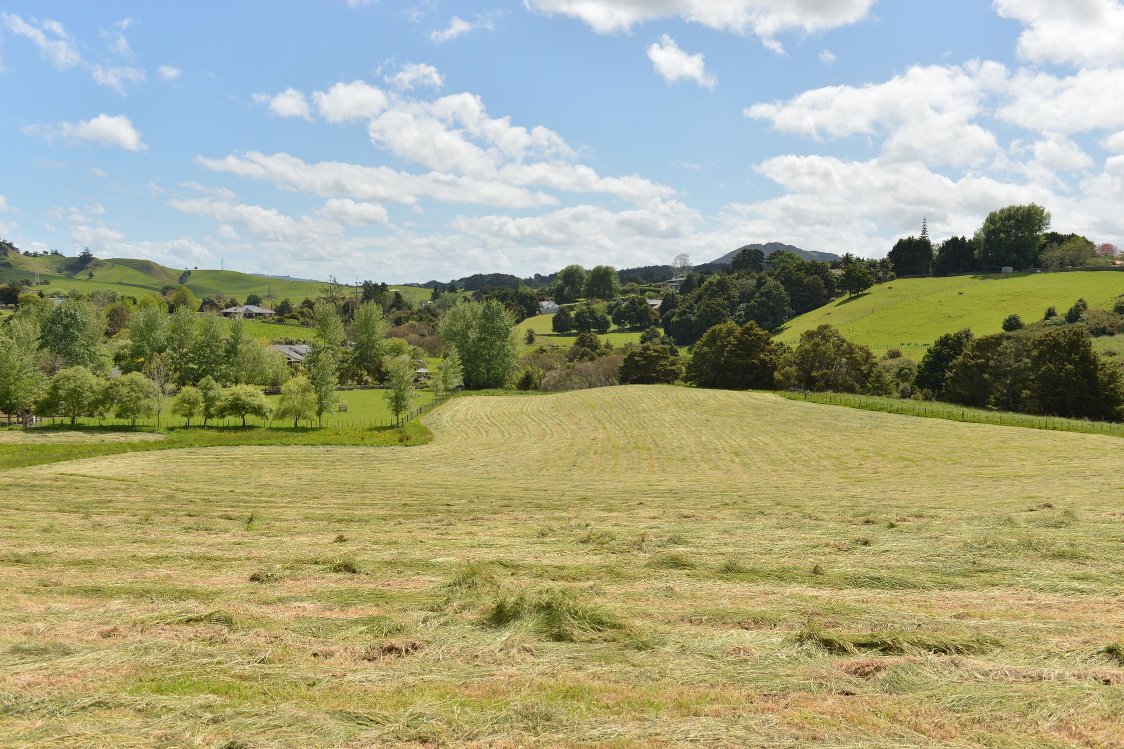 20 Purakau Road, Maunu, Whangarei, 5 ਕਮਰੇ, 0 ਬਾਥਰੂਮ