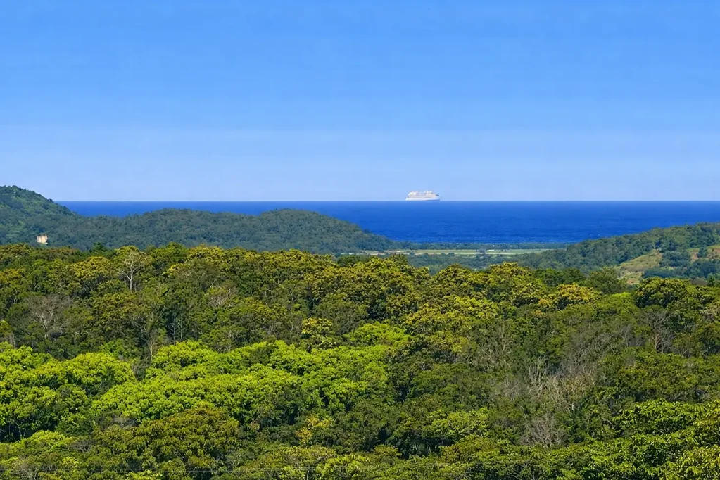 Dalwood Cheap Land with Sweeping Ocean and Hinterland Views