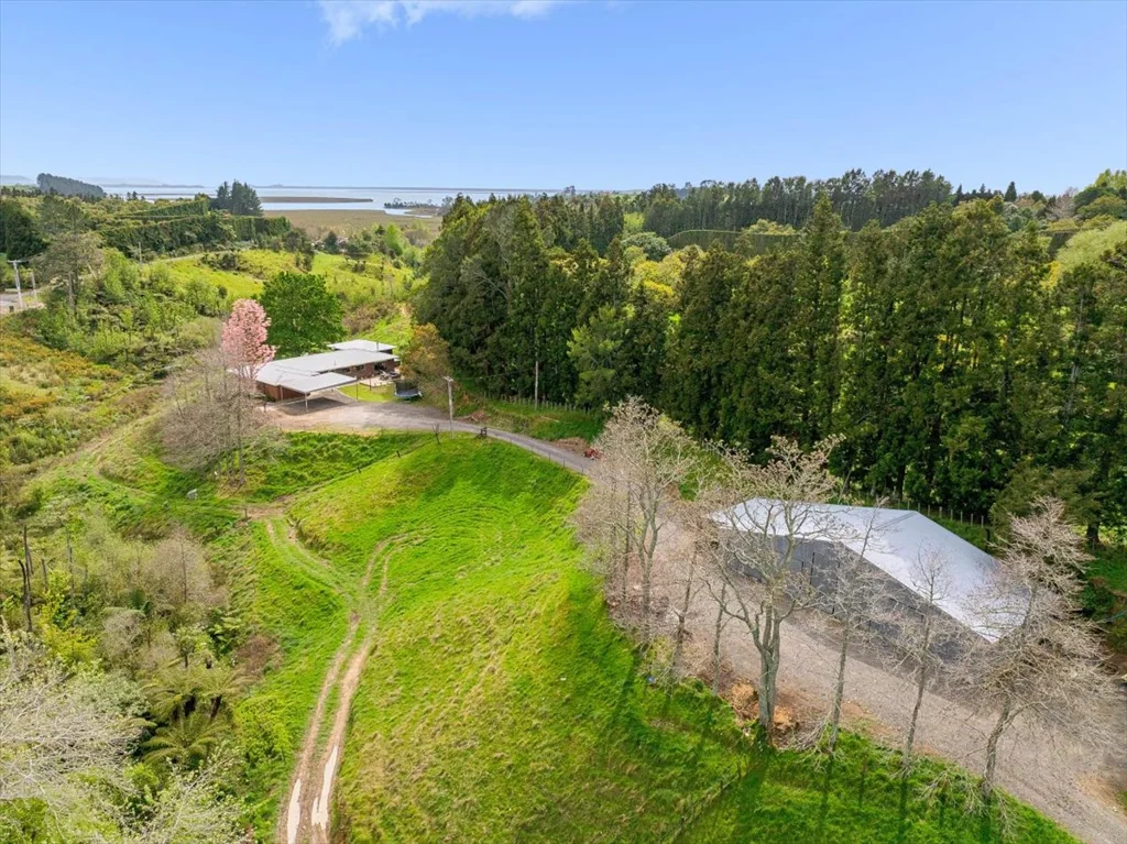 1538 State Highway 2, Whakamarama, Western Bay of Plenty, Bay of Plenty