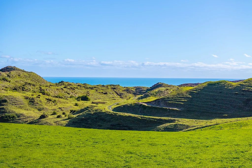 Dargaville Coastal 13.5ha lifestyle block