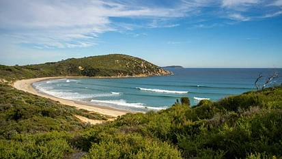 澳洲一地登上全球10大危险区！谋杀率全国最高，房价却疯狂飙升！