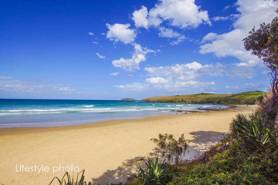 108 SANDYS BEACH DR, SANDY BEACH NSW 2456, 0 rūma, 0 rūma horoi, House