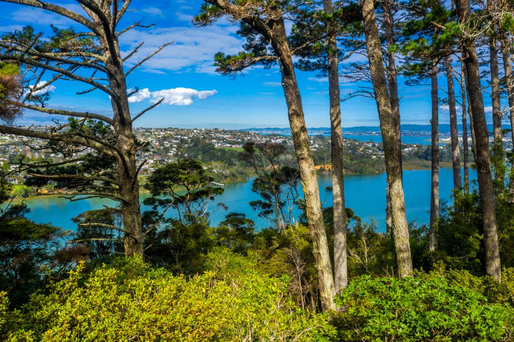 135 Upper Harbour Drive, Greenhithe, Auckland - North Shore, 3 rūma, 0 rūma horoi