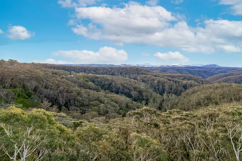 Wentworth Falls  Create The Ultimate Retreat With Potential Grose Valley Views