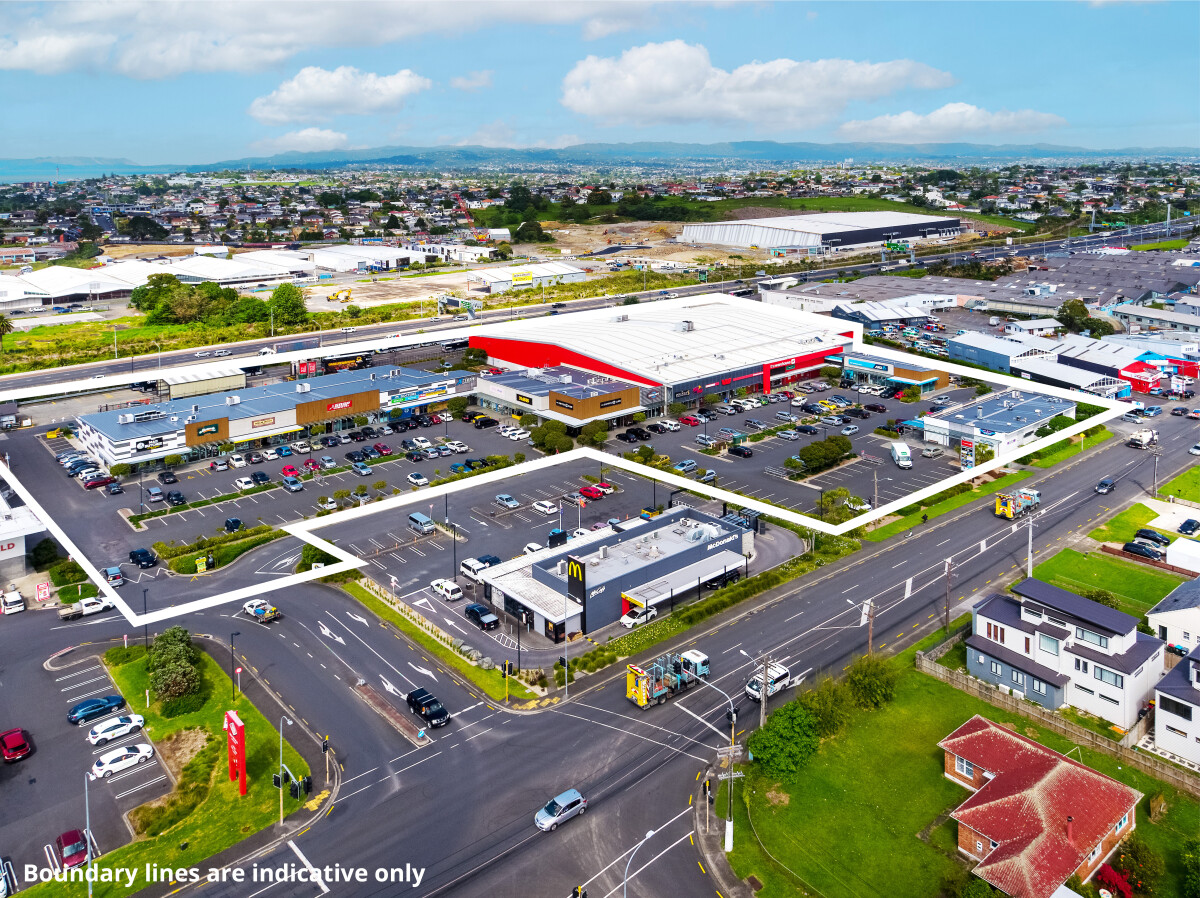 22 Stoddard Road, Wesley, Auckland, 0房, 0浴