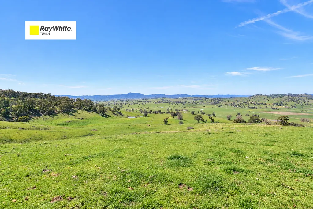 Adelong Rural Acres 507.07Ha