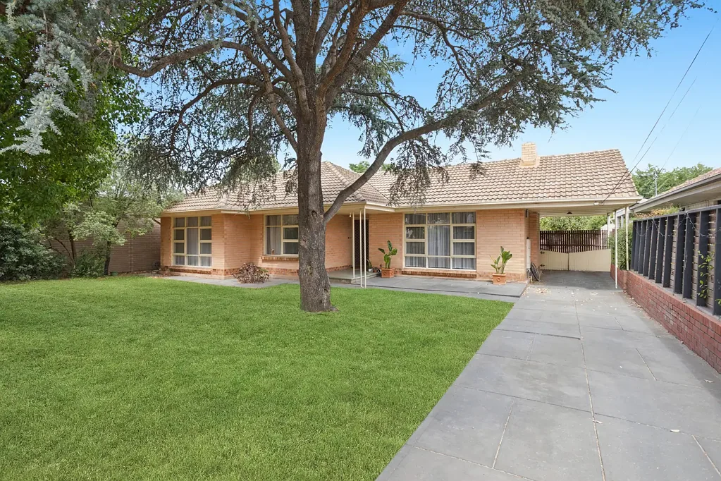 16 Duncan Street, Lockleys, SA 5032