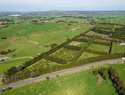 908A Te Ahu Ahu Road, Waimate North, Kerikeri, Far North, 0房, 0浴, 乡村别墅