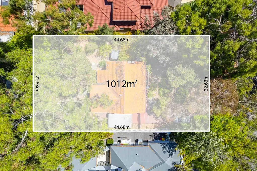 Dalkeith 2房  North-Facing Dream Build Beneath Majestic Mature Trees on 1,012m²