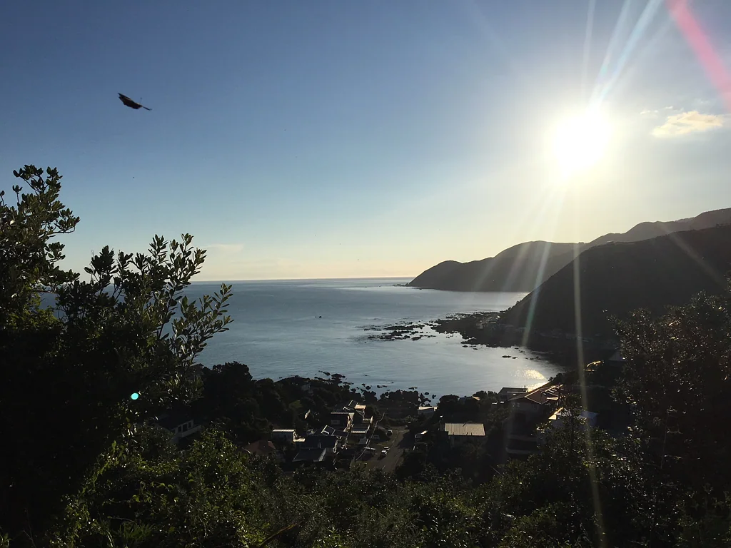Island Bay