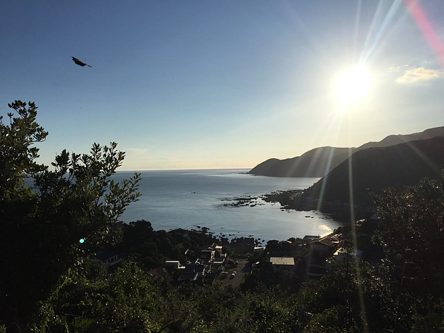 Island Bay