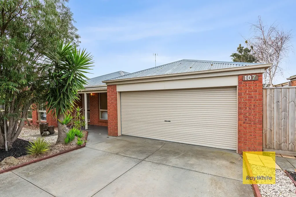 Grovedale 4غرفة نوم Generous Family Home in Prime Location