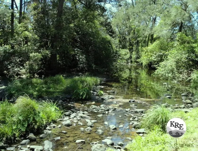 842 Green Pigeon Road, Kyogle, North Coast, 4 Kuwarto, 0 Banyo, Lifestyle Property
