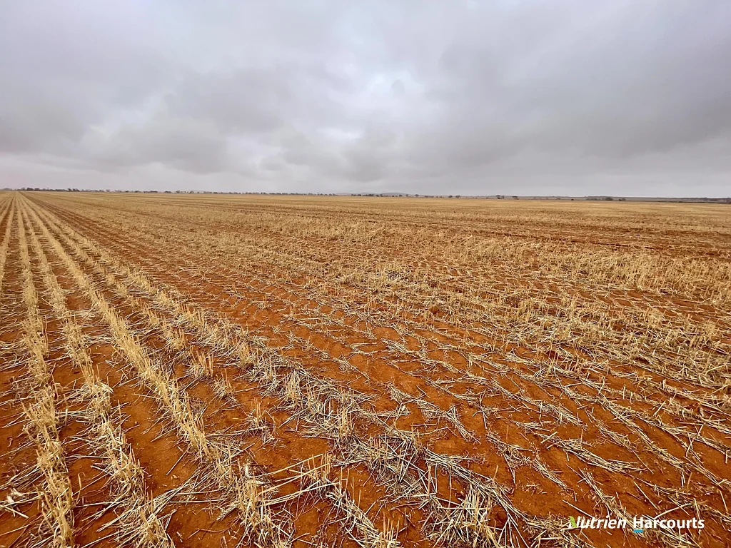 1662 Morawa - Yalgoo Road, Morawa, WA 6623